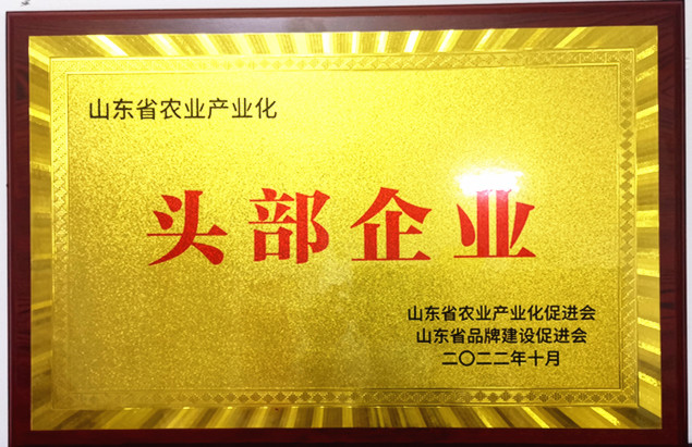 南陽(yáng)湖農(nóng)場(chǎng)入選山東省首屆農(nóng)業(yè)產(chǎn)業(yè)化“頭部企業(yè)”